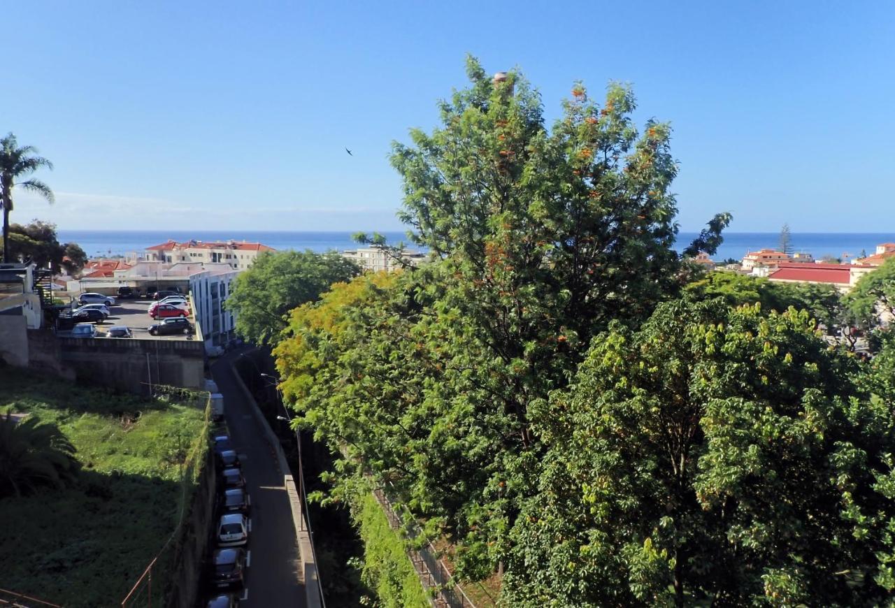 Petrolhead Appartement Funchal (Madeira)